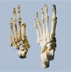 СпортМастер