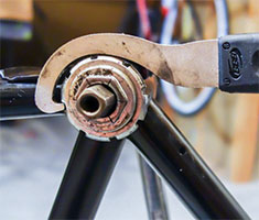 СпортМастер